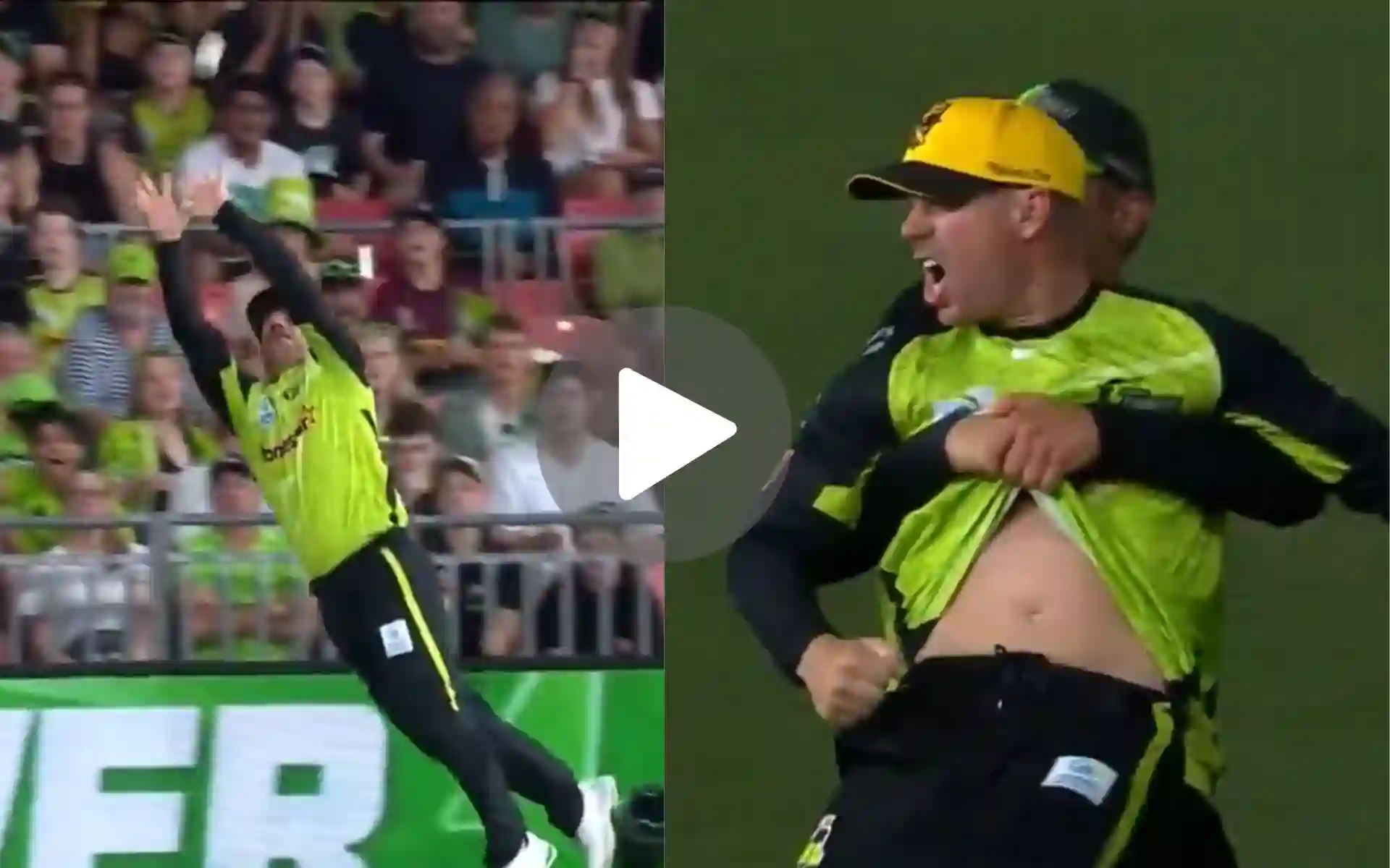 [Watch] David Warner's Wild Celebration After Taking Superman Catch In BBL